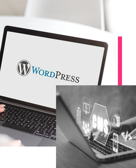 SITE WORDPRESS